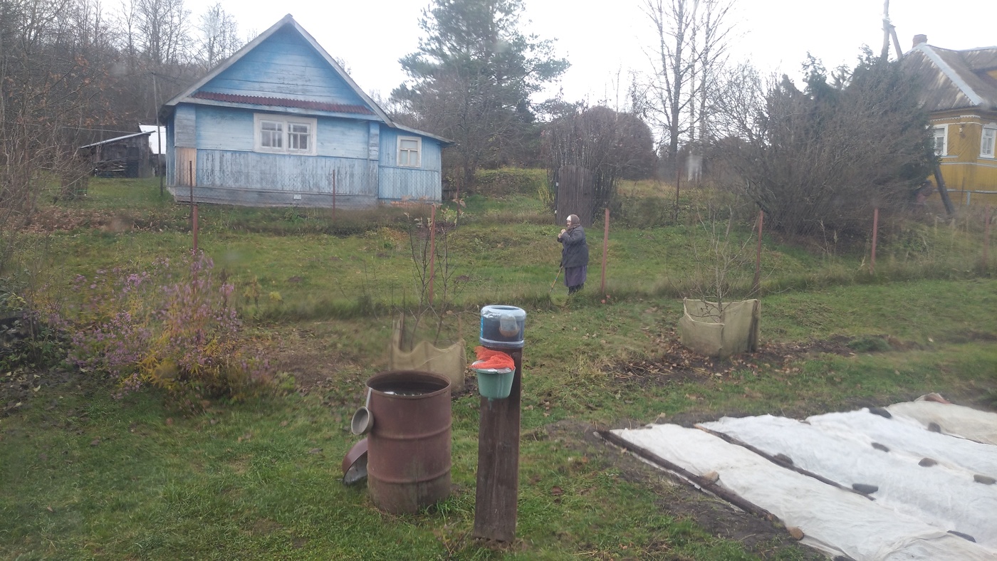 Жизнь вокруг