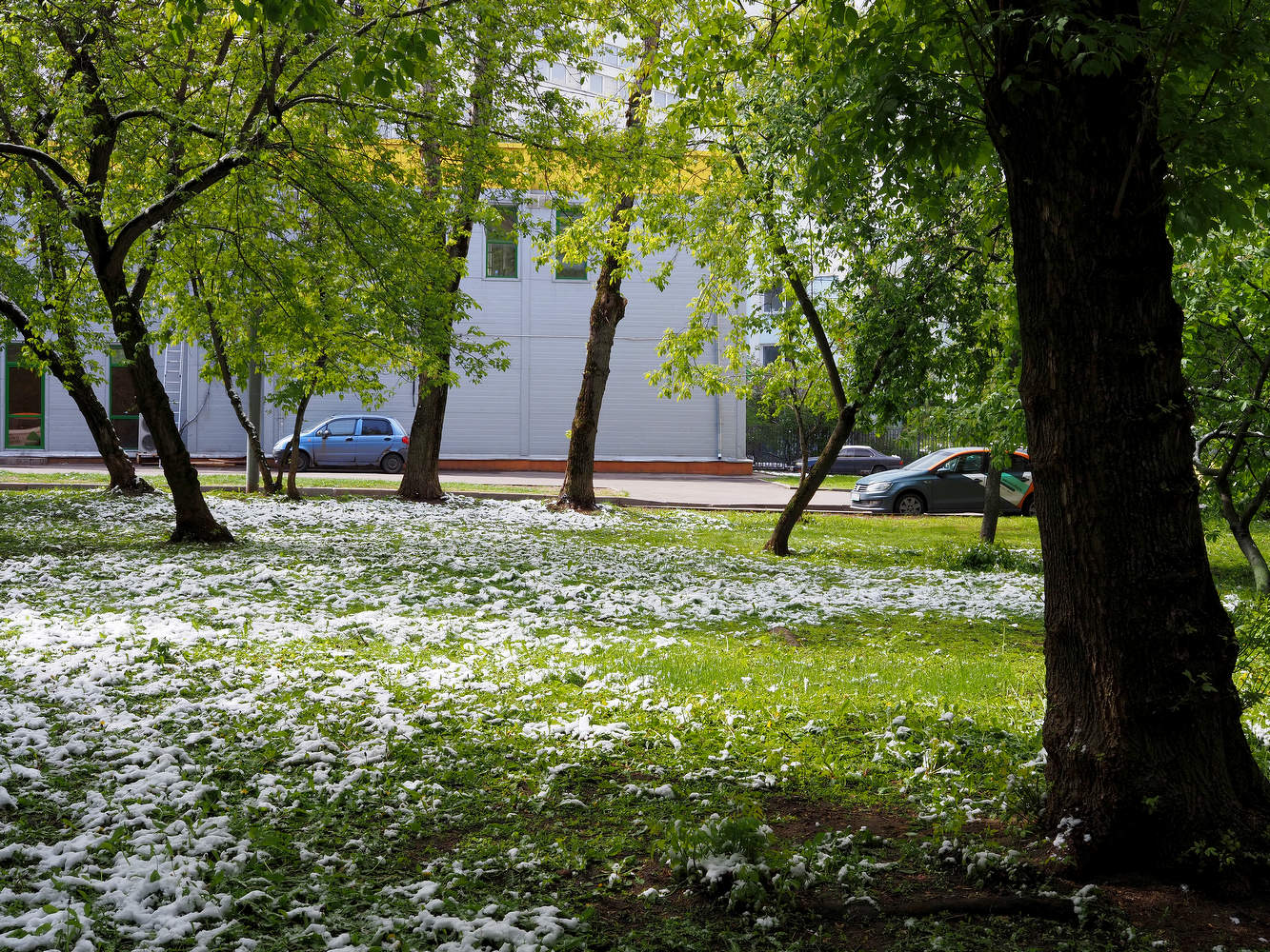 И снова выпал снег