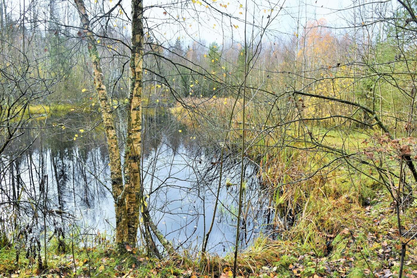 "Померкла природа, октябрь на исходе ..."