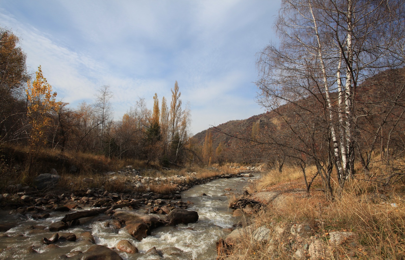 Уставшая осень