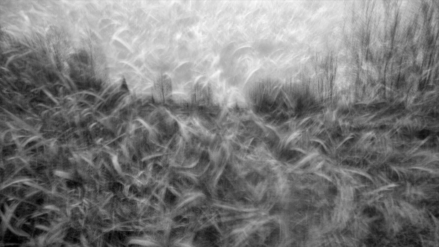 Жизнь вокруг