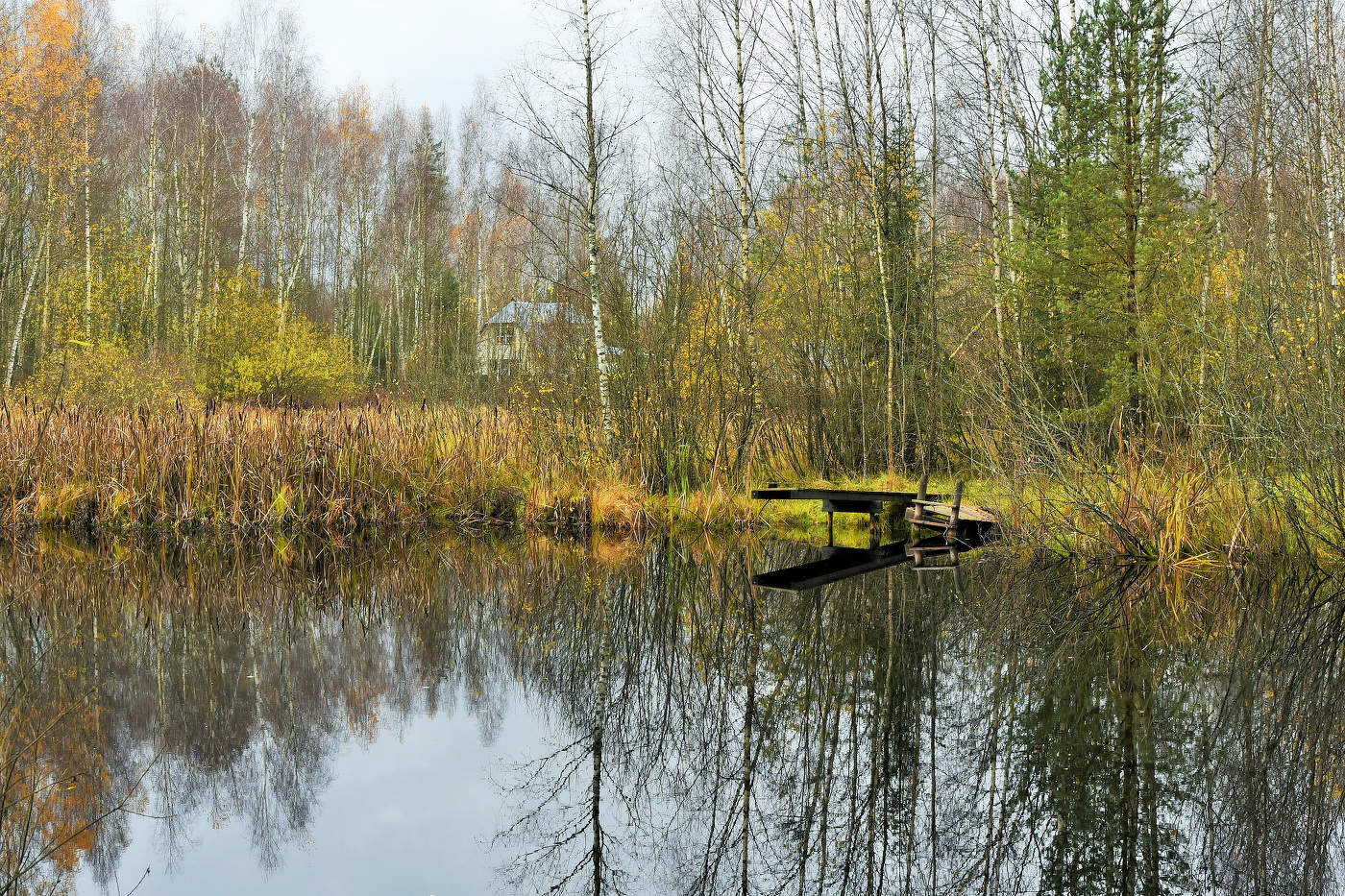 "Вот-вот ноябрь придет предзимний ..."