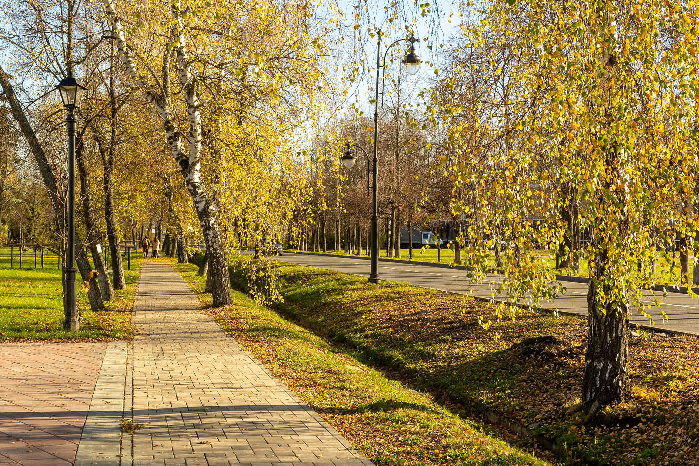 Щедрое солнце