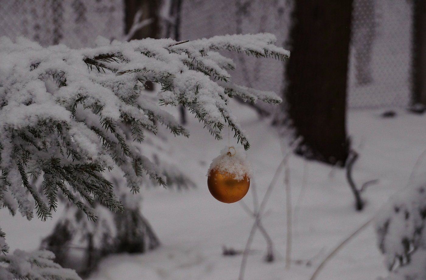 Скоро, скоро на луга лягут белые снега