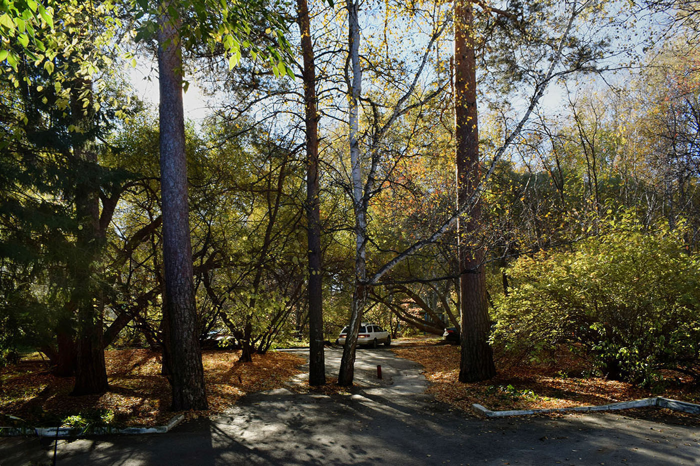В сентябрьском парке