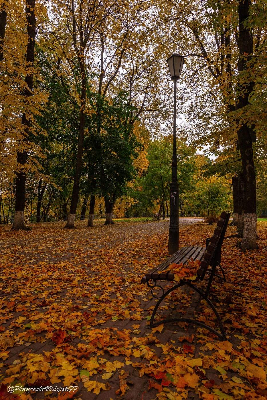 Осень в Калуге