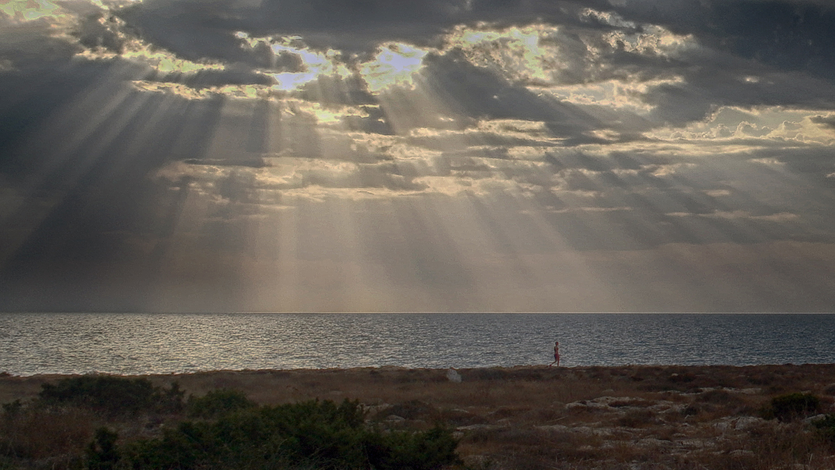 Утренняя пробежка