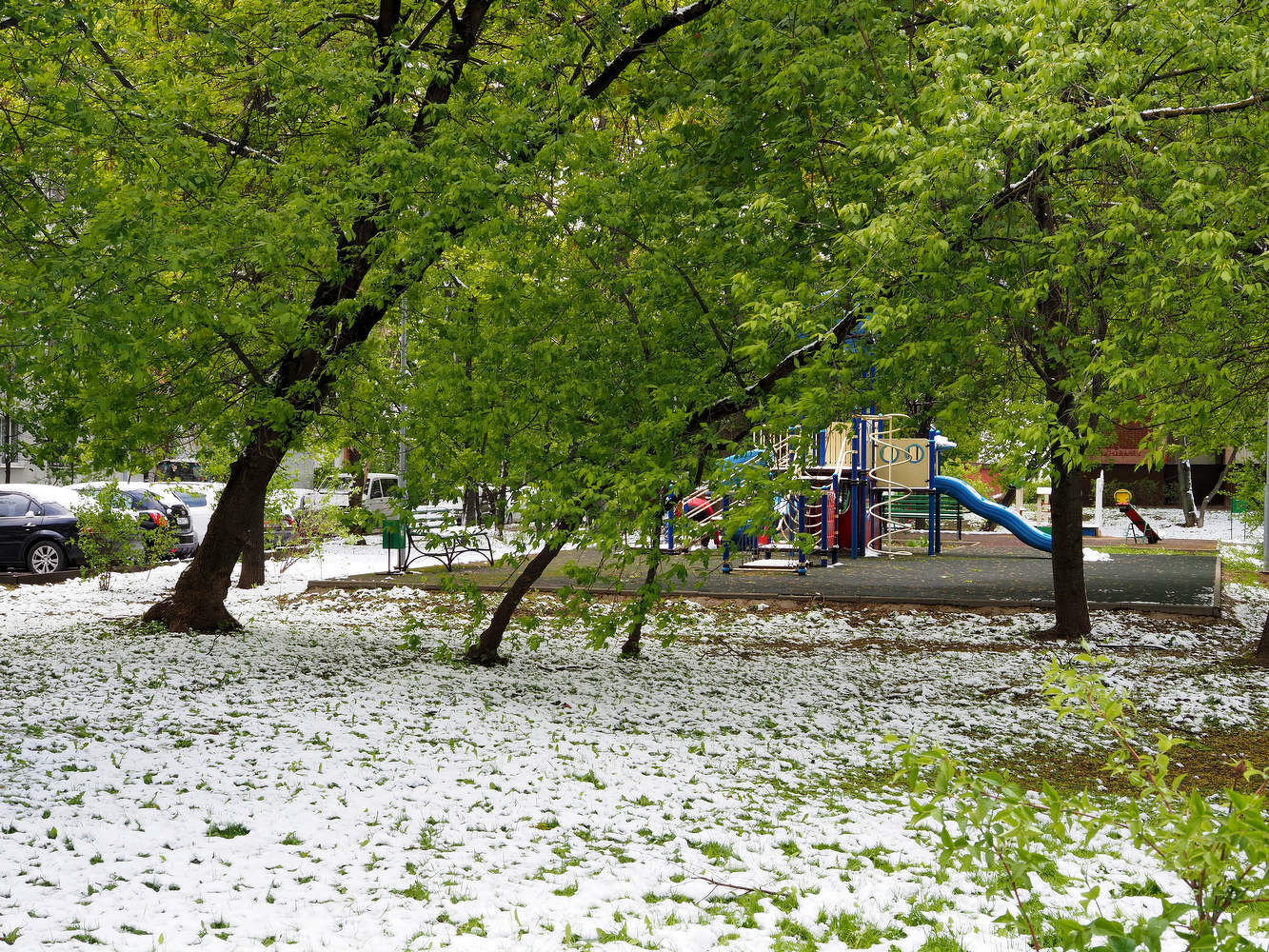 Майский снег