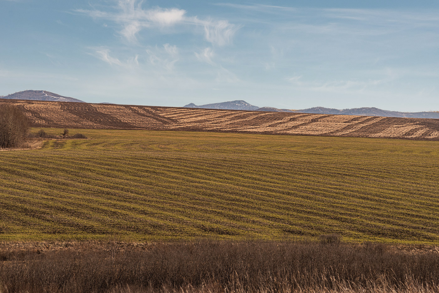 "Полевая геометрия"
