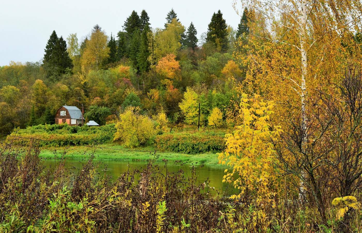 "Все разошлись. На прощанье осталась оторопь желтой листвы за окном..."