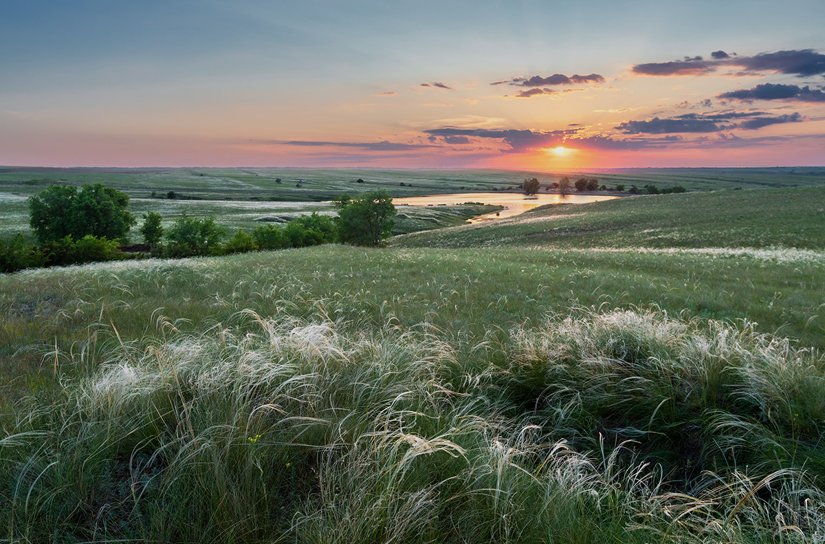 Сверкающая степь