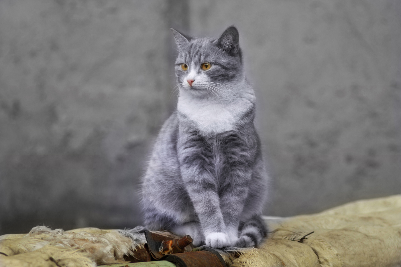 "Посиделки".