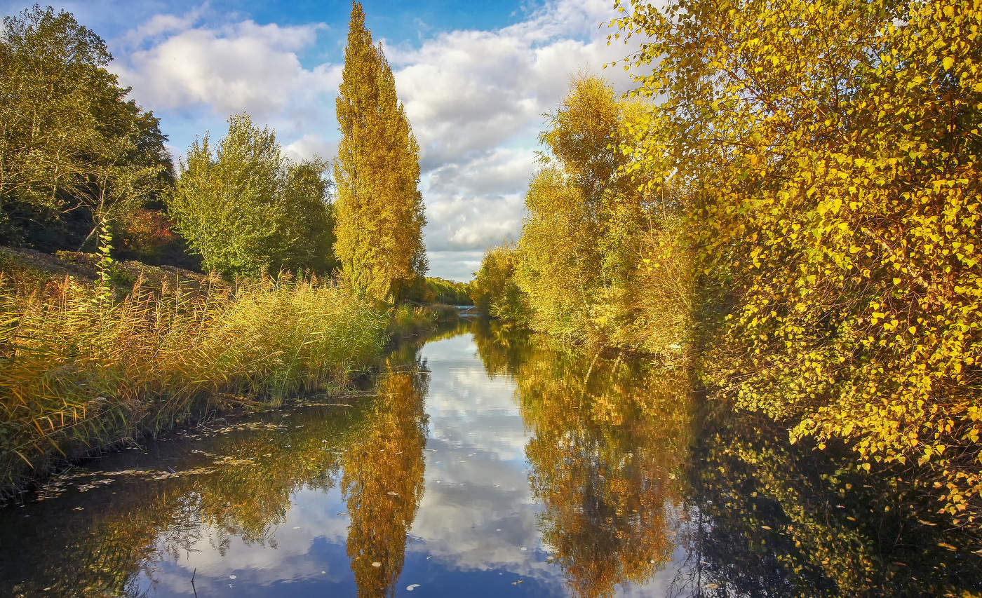 Золото канала