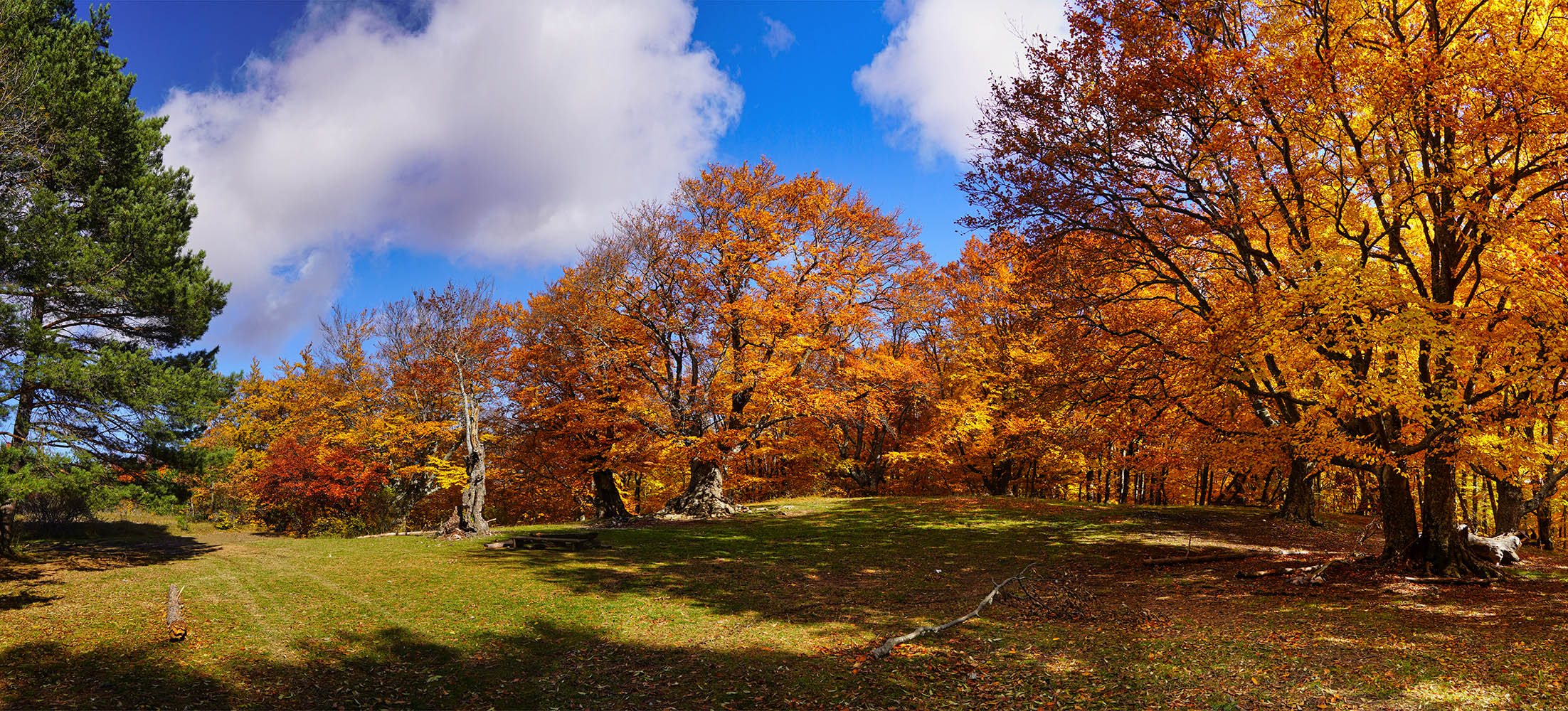 На солнечной поляночке