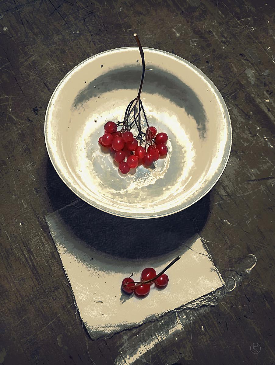 калина красная