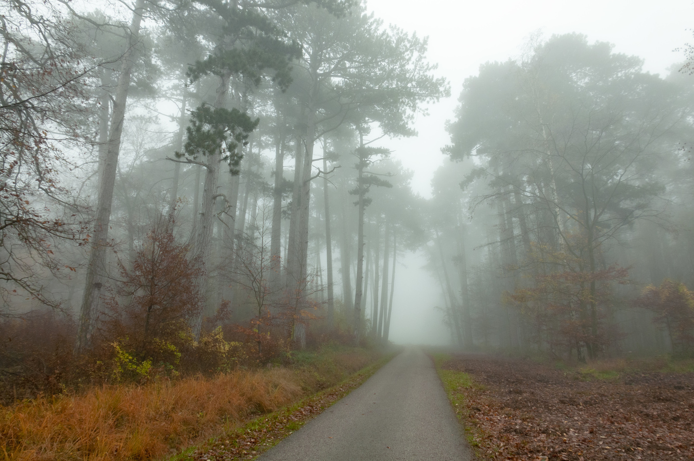 Ну вот и ноябрь...