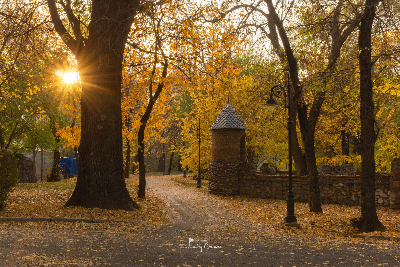 Осенние зарисовки...