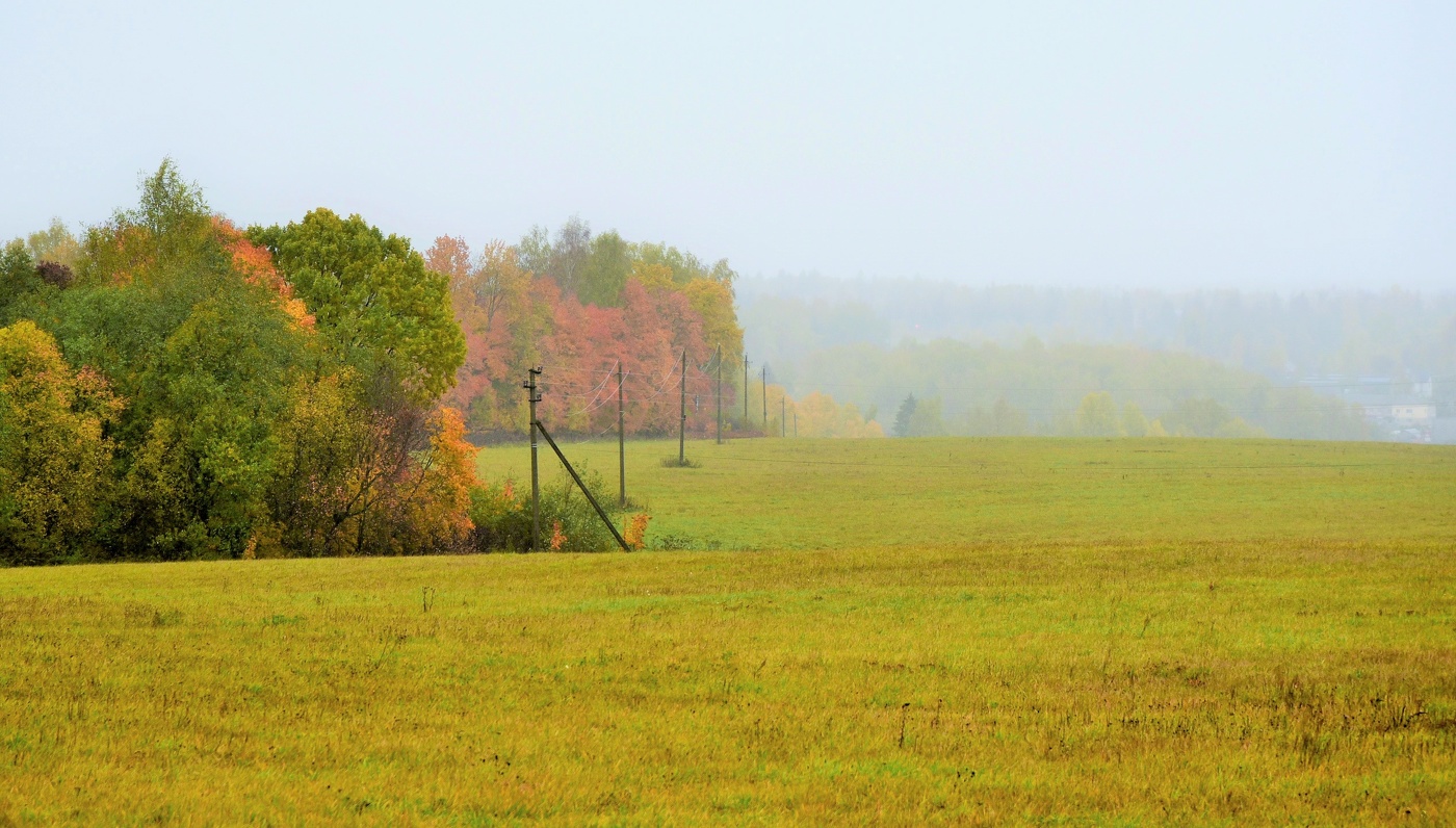 "Пробежало лето легкими шагами ..."