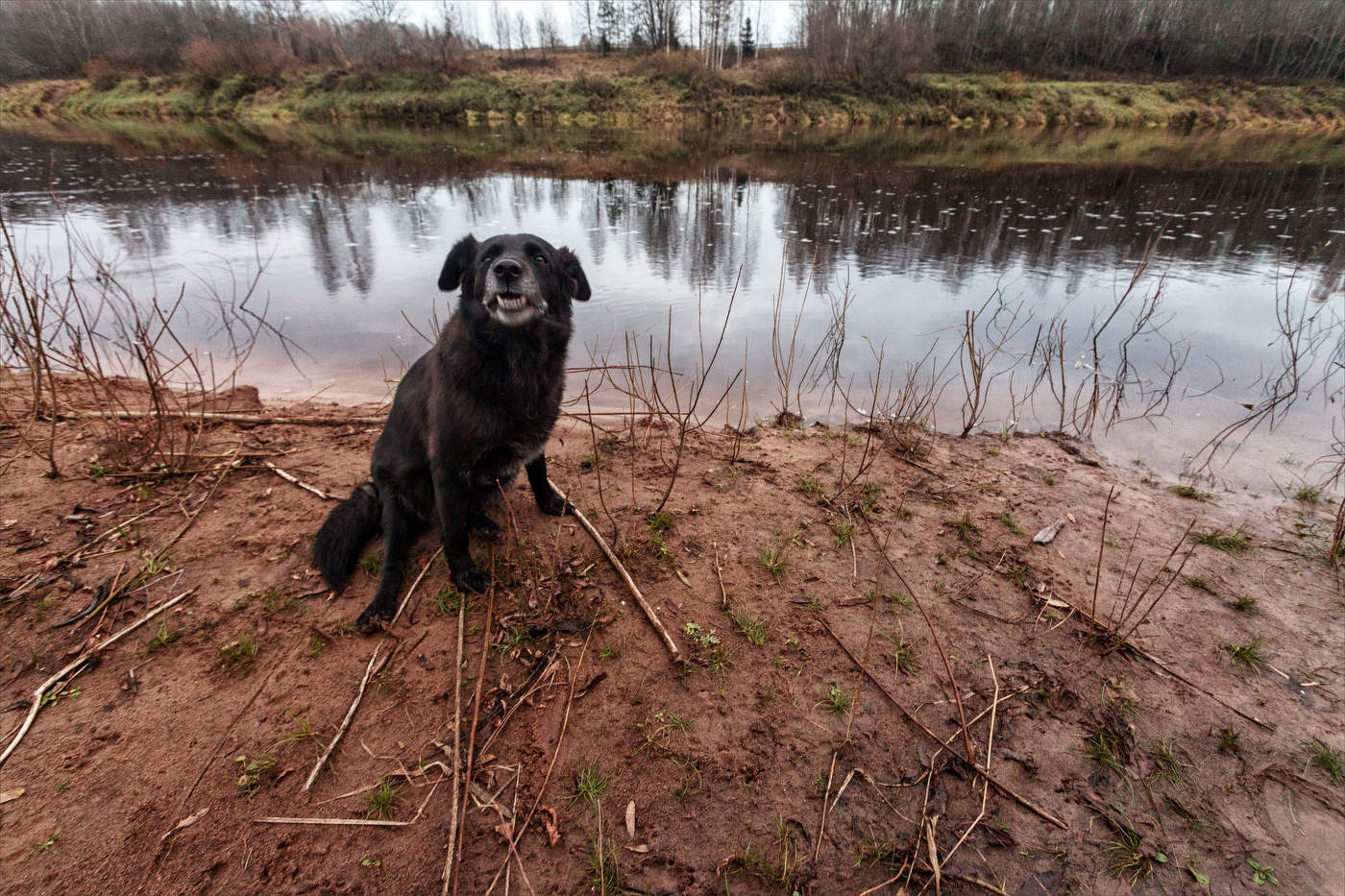 Жизнь вокруг