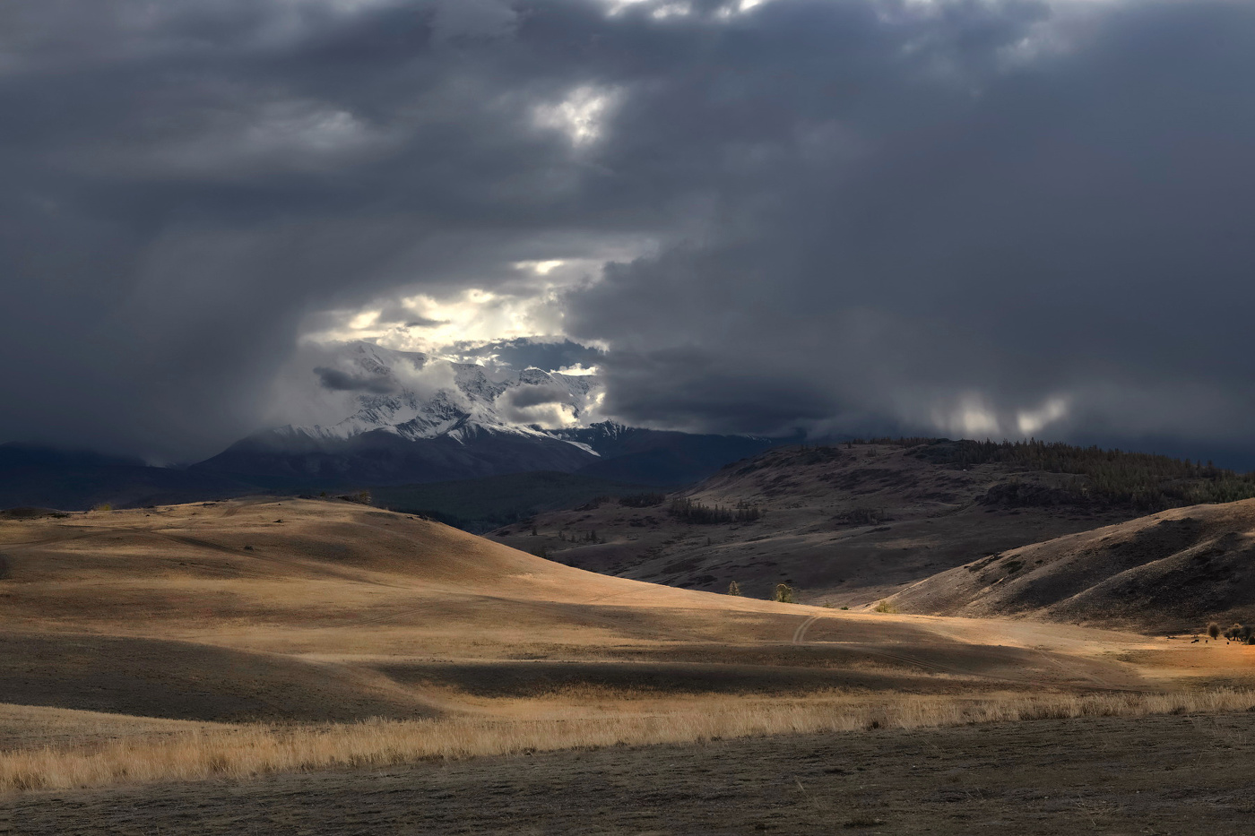 В горах дождь