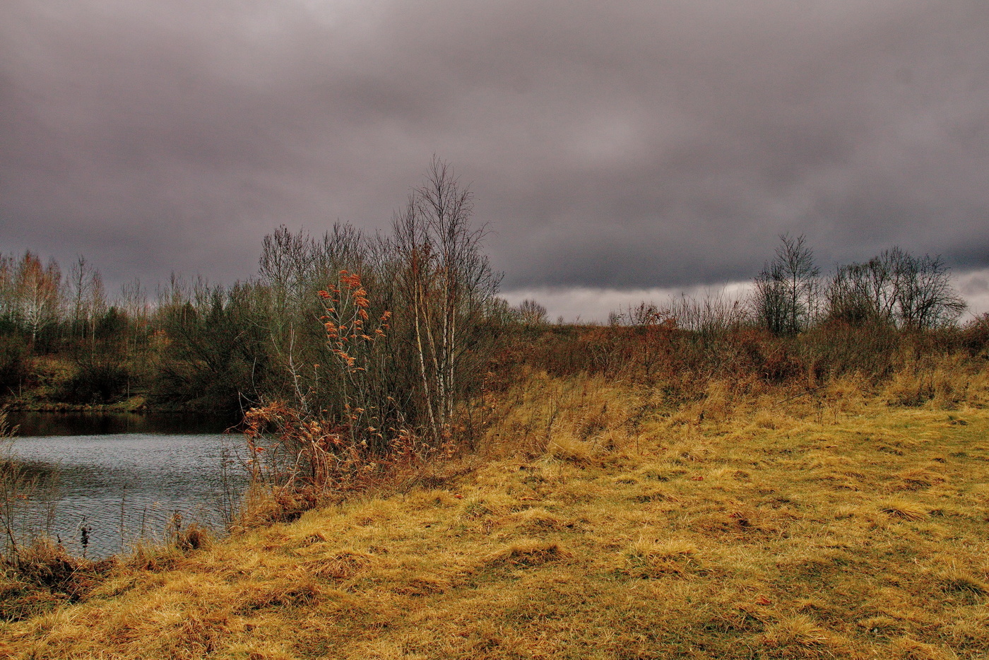 **Поздняя осень.*