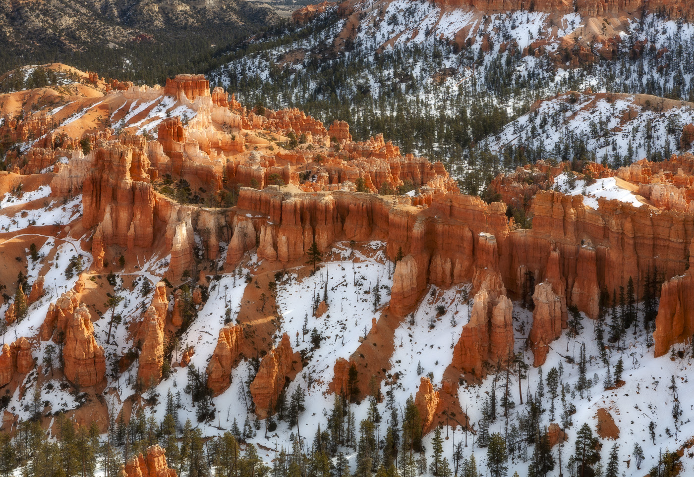 Худу на снегу