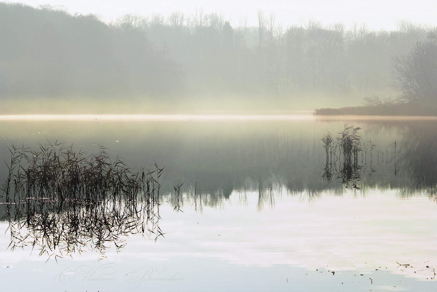 Ноябрьский туман