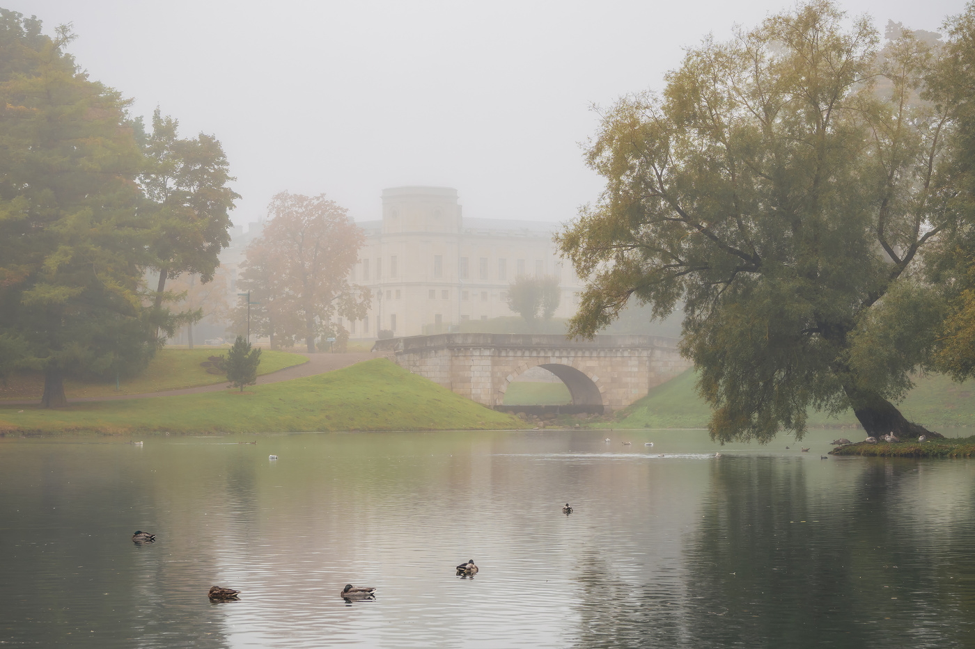 Туманное утро.