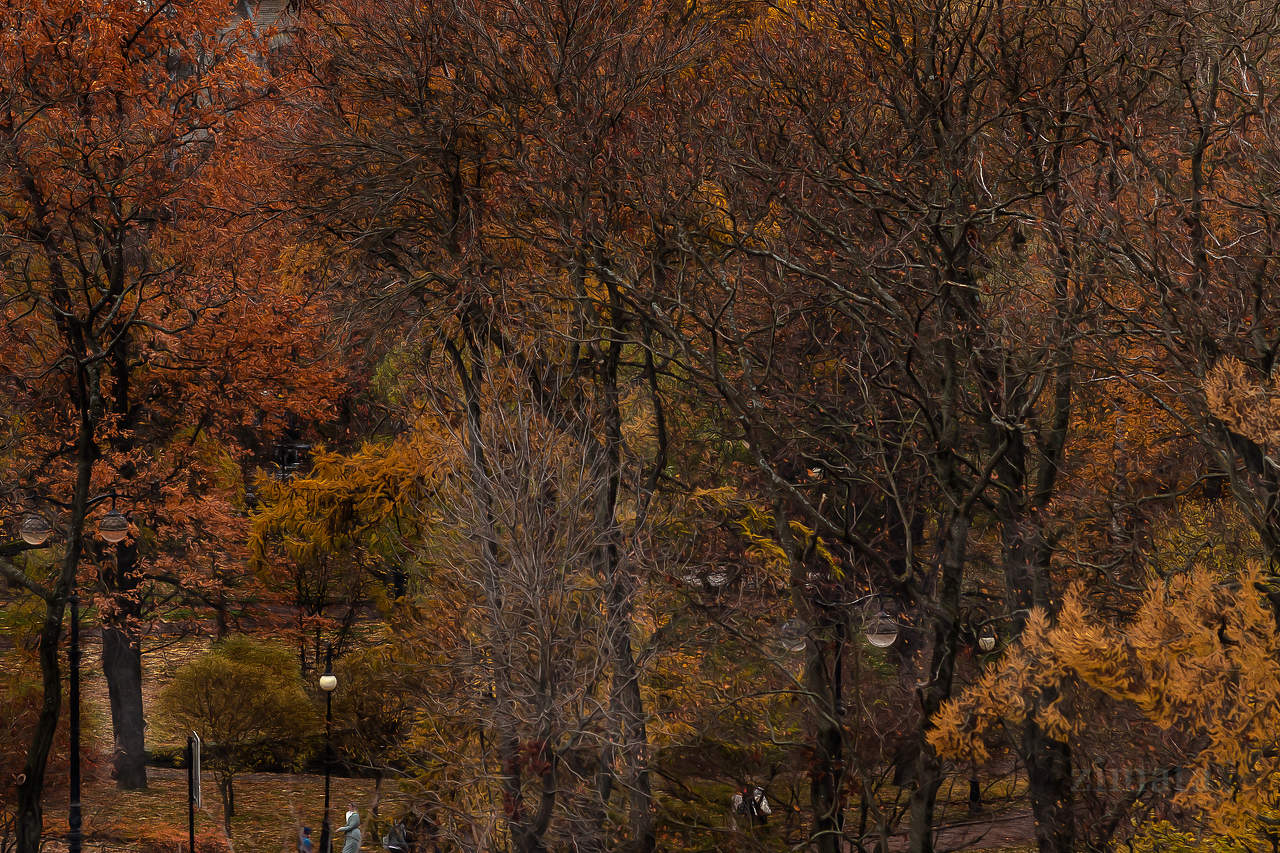 пока еще осень
