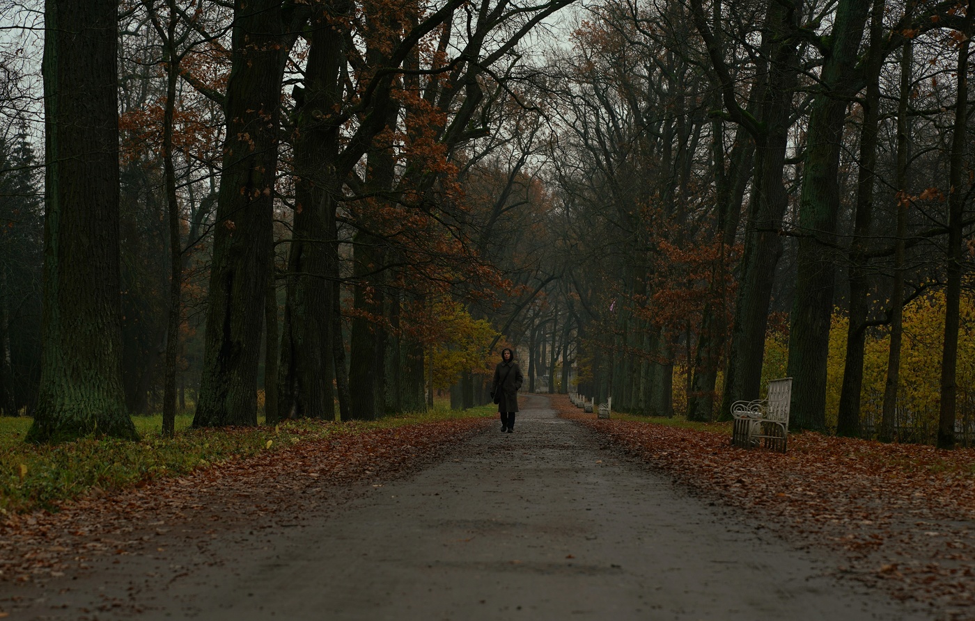 Первое утро ноября