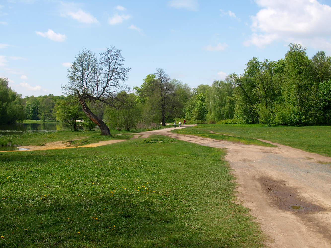 Кузьминский парк