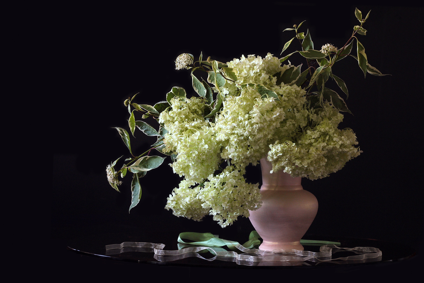 Любимая гортензия