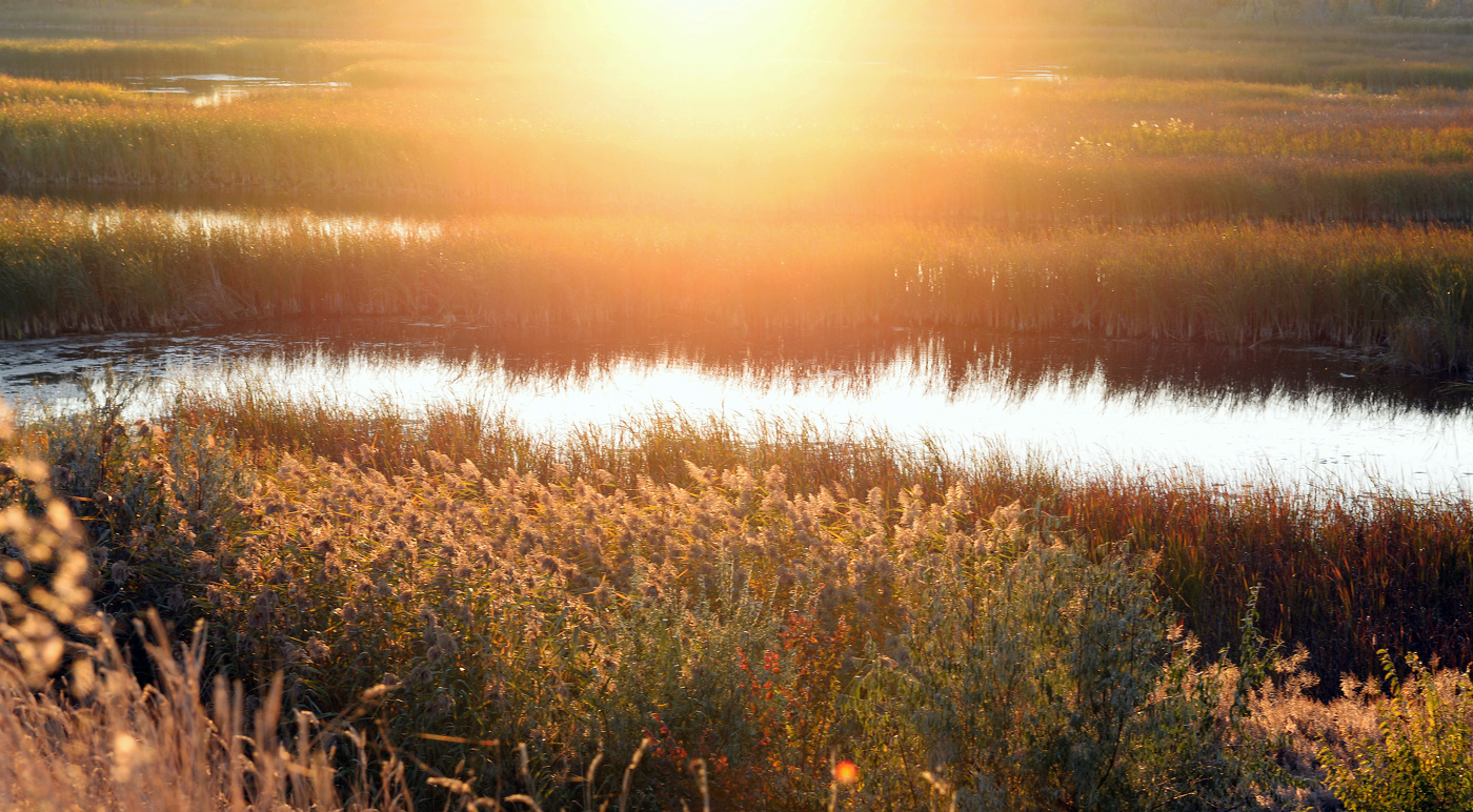 Осенняя феерия солнечного света .