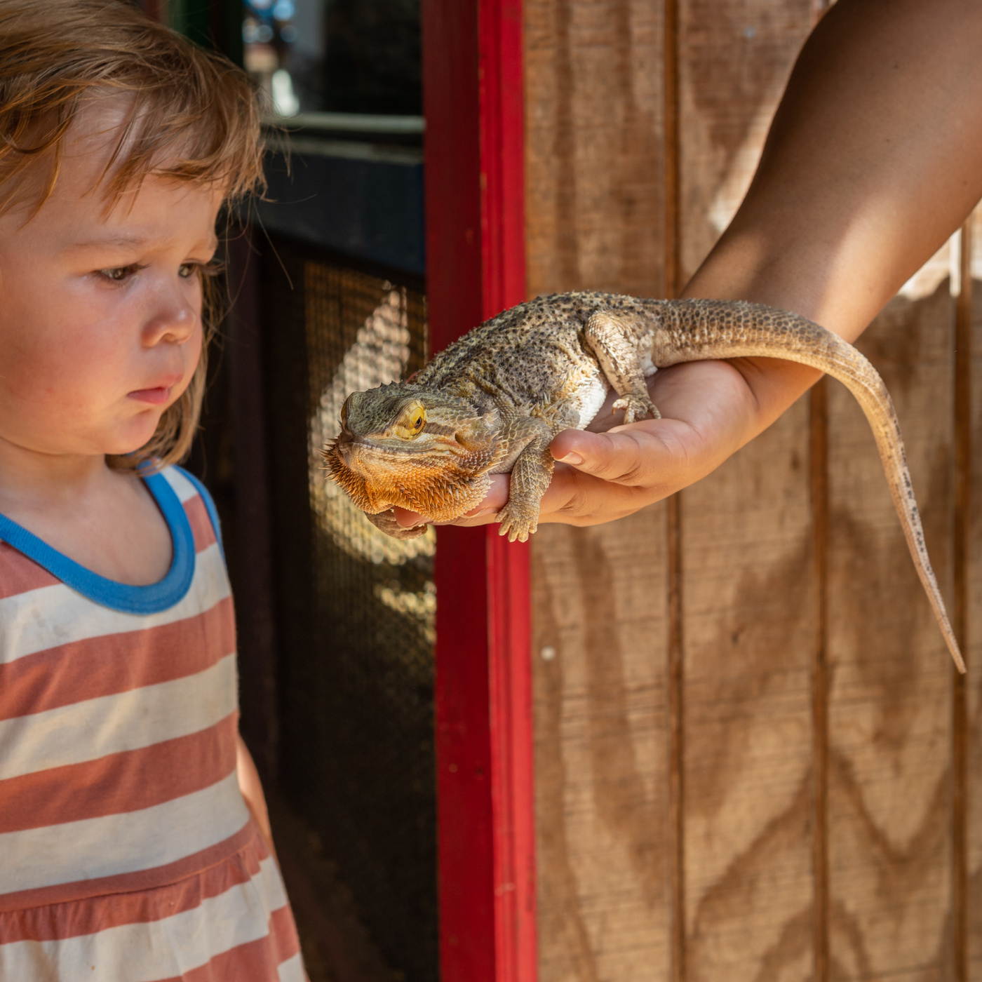 «переступить красные линии»