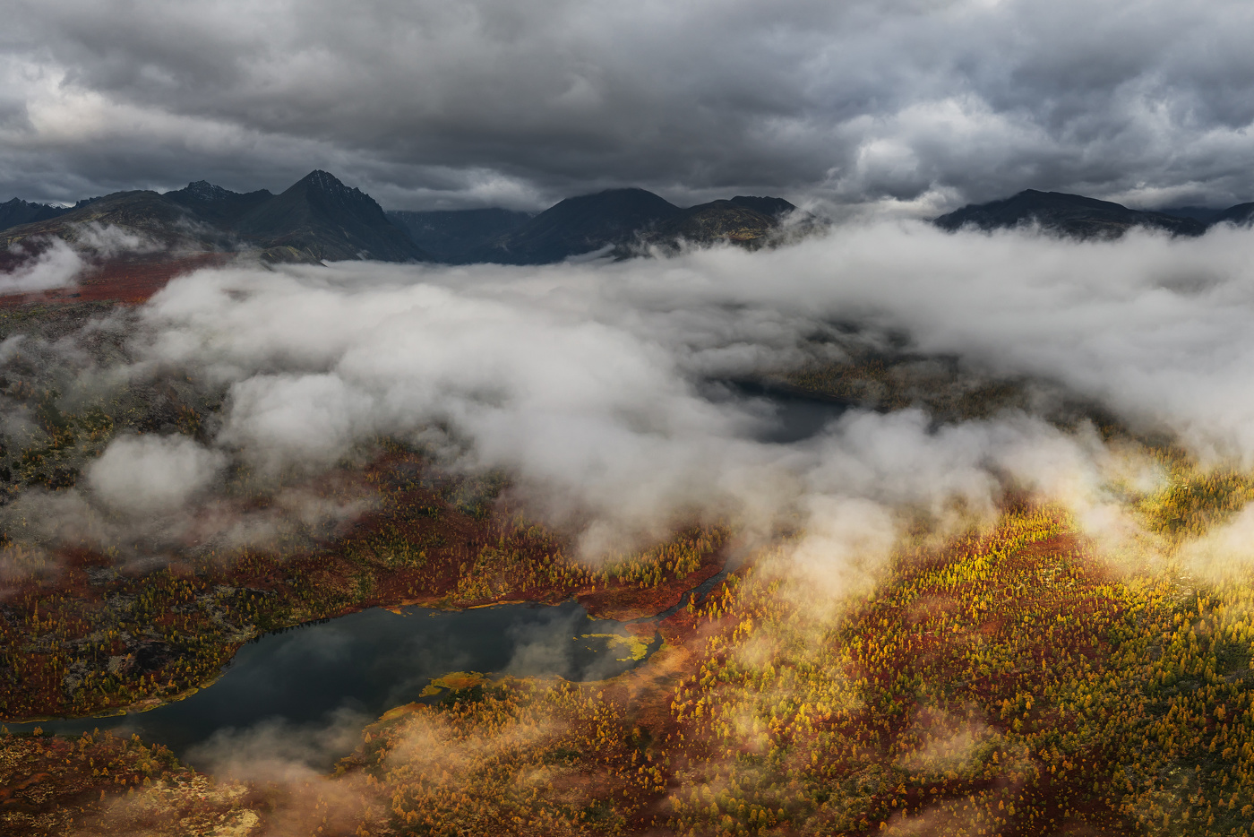 Поиграли в прятки с Невидимкой...
