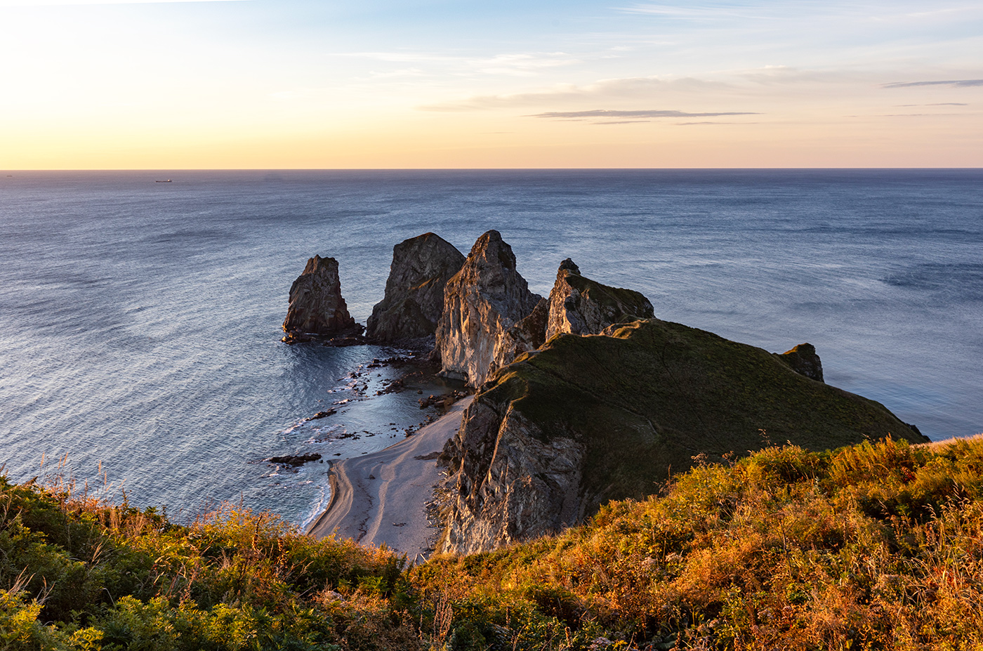 Четыре зуба