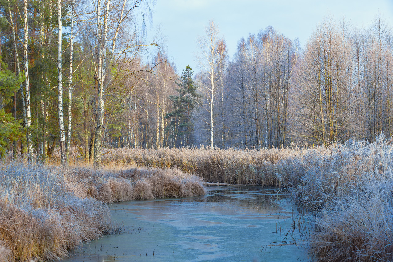 Принарядилась.