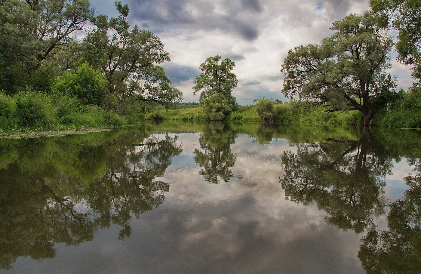 Подмосковье, ненастный день.