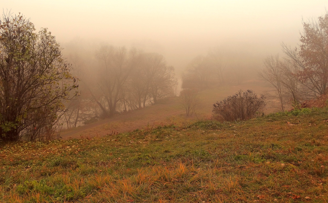Вечерний осенний туман