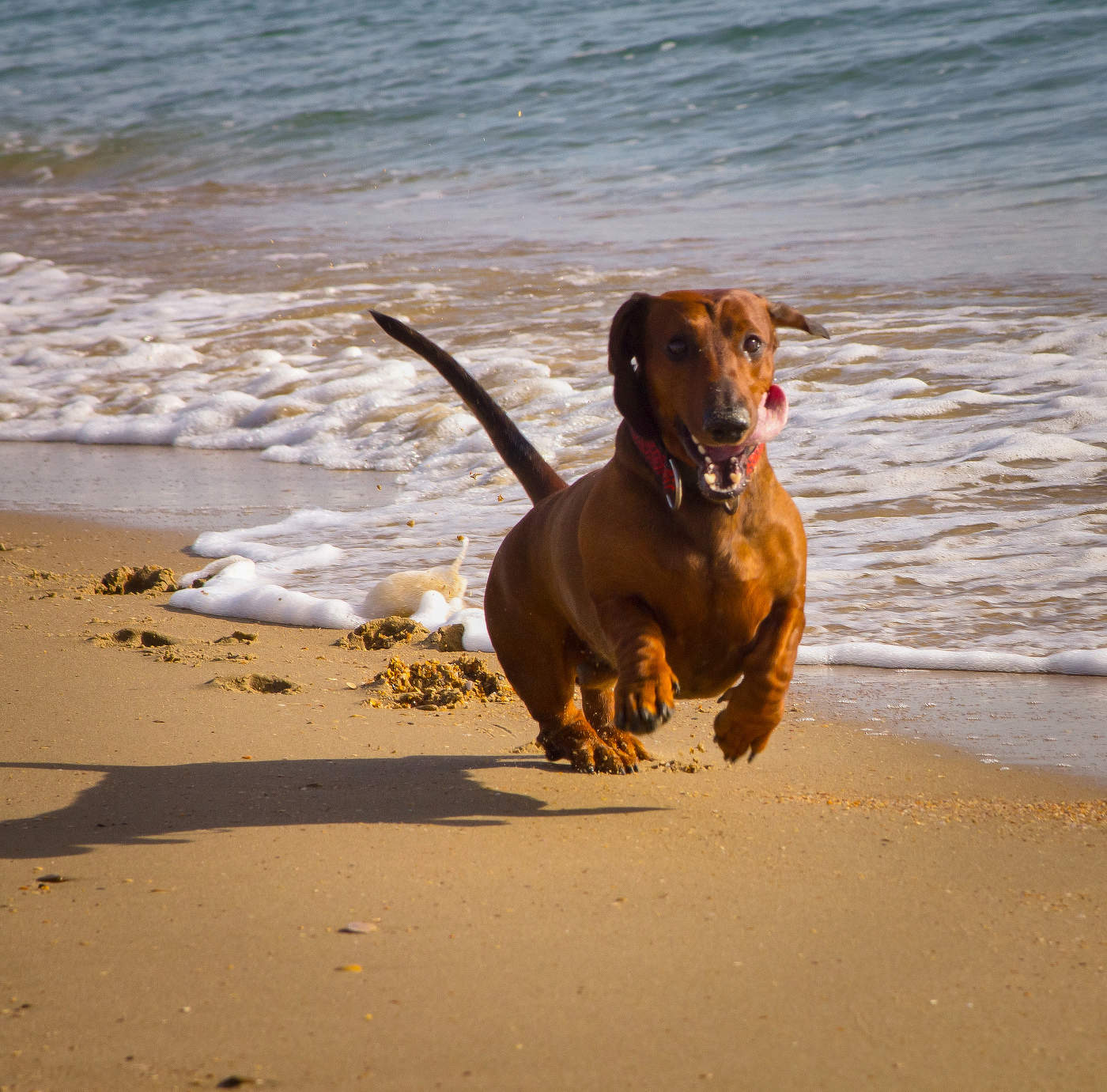 Радоваться