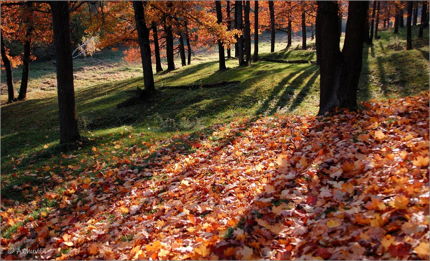 Тени октября