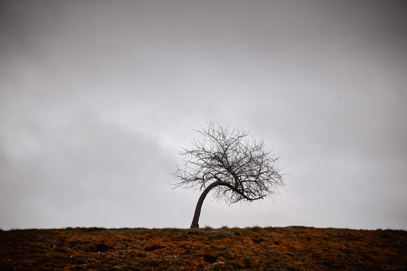 Наедине с ветром