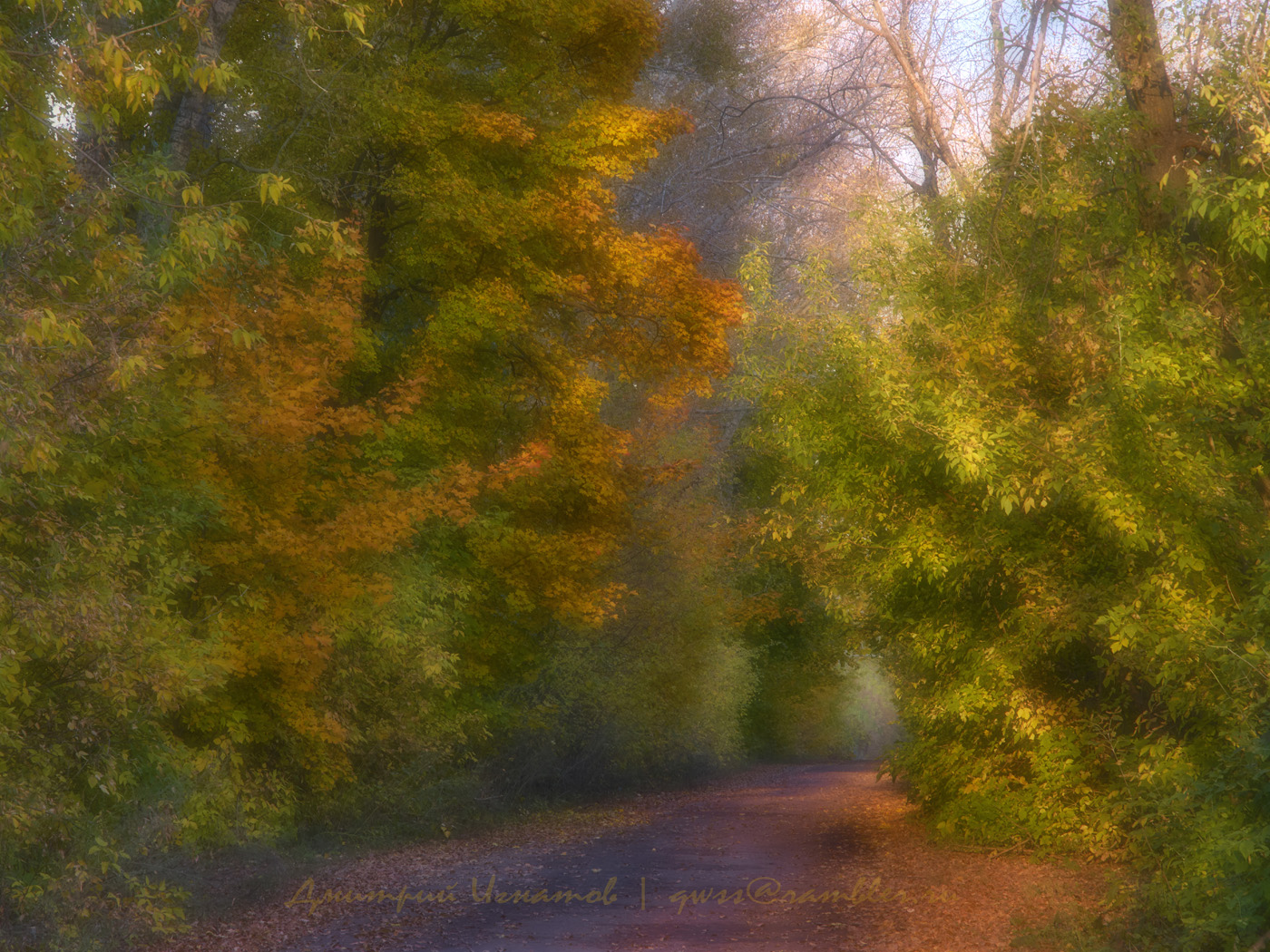 Осенняя сказка