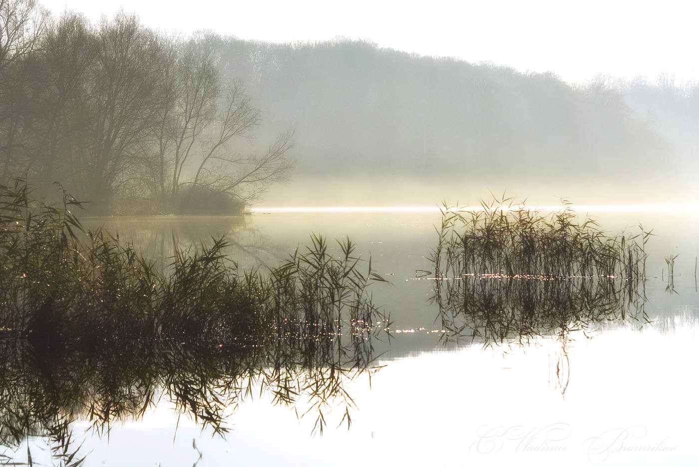 Туман на рассвете
