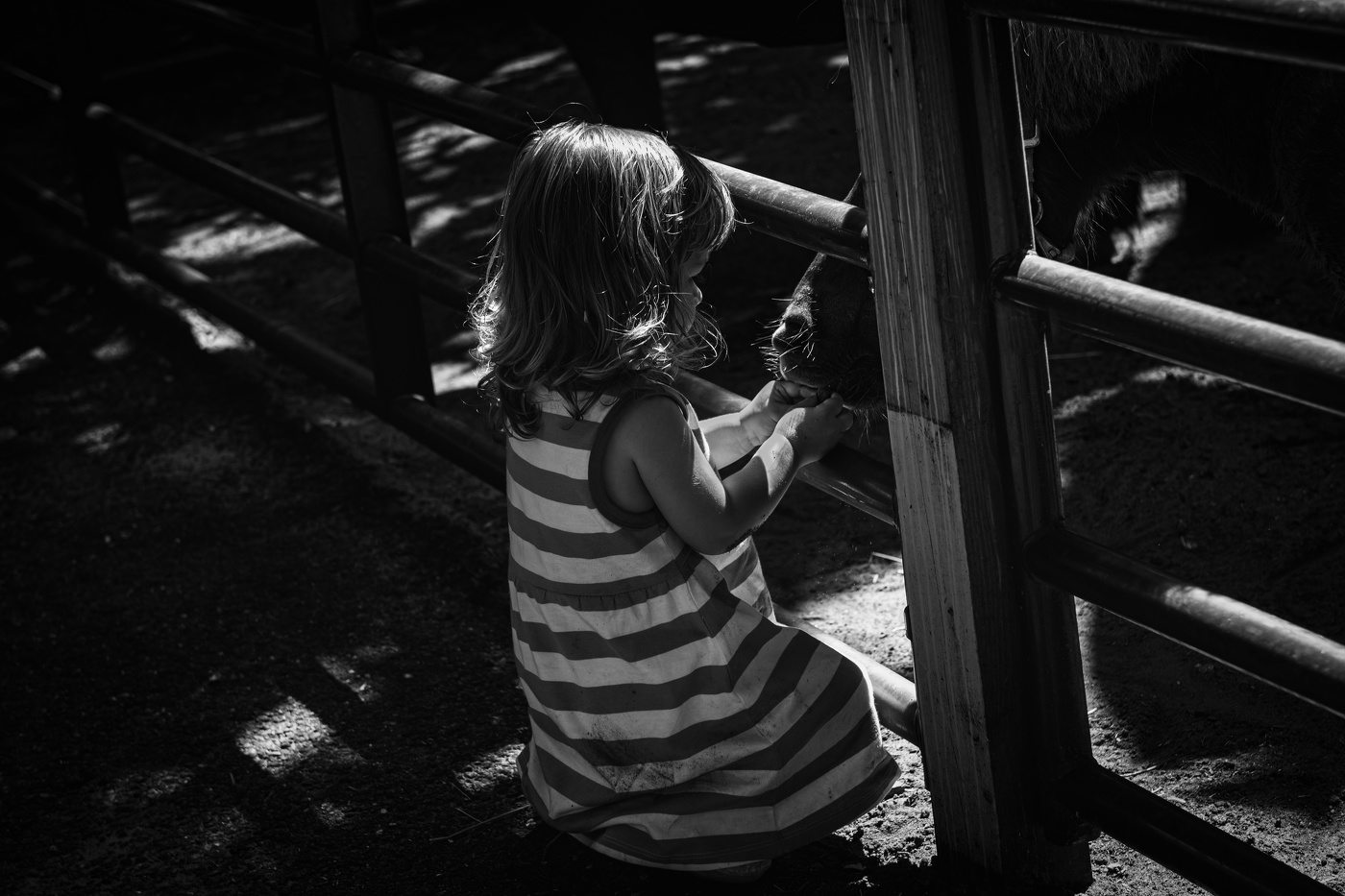 Нет преград