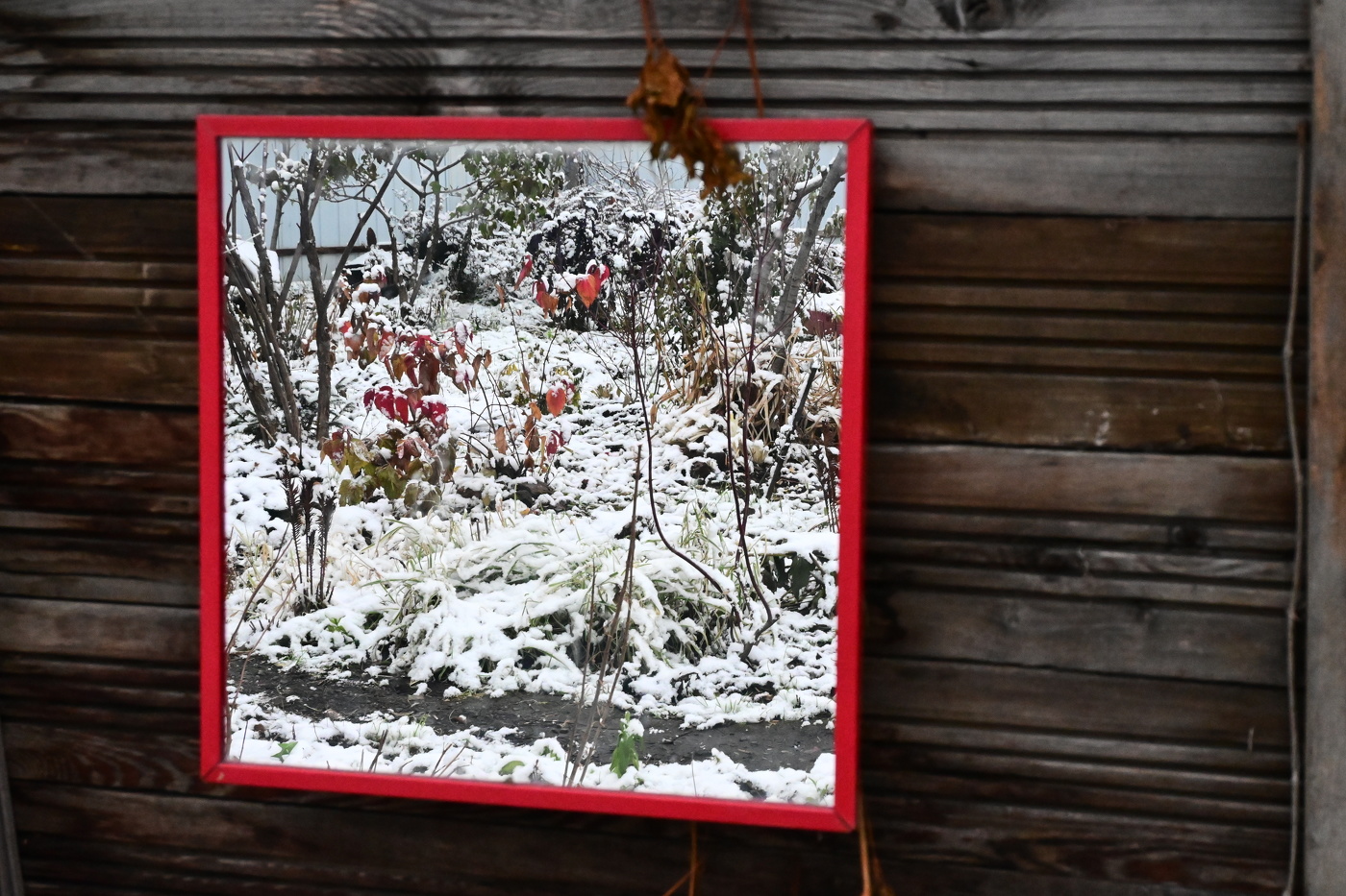 Первый снег.