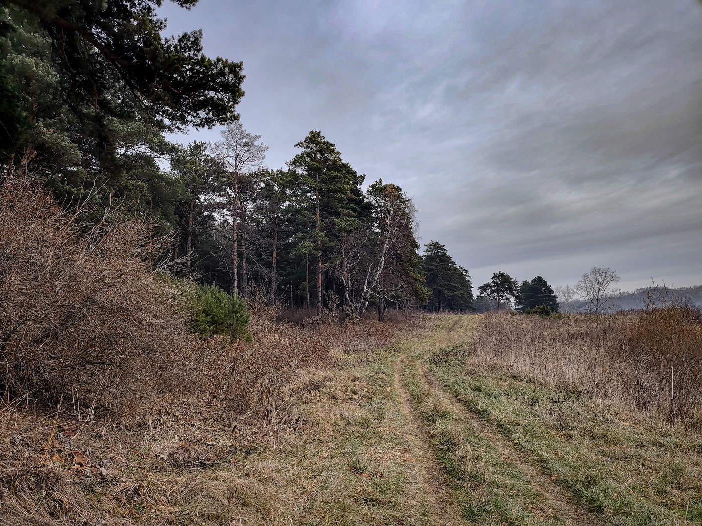 Осенний пейзаж