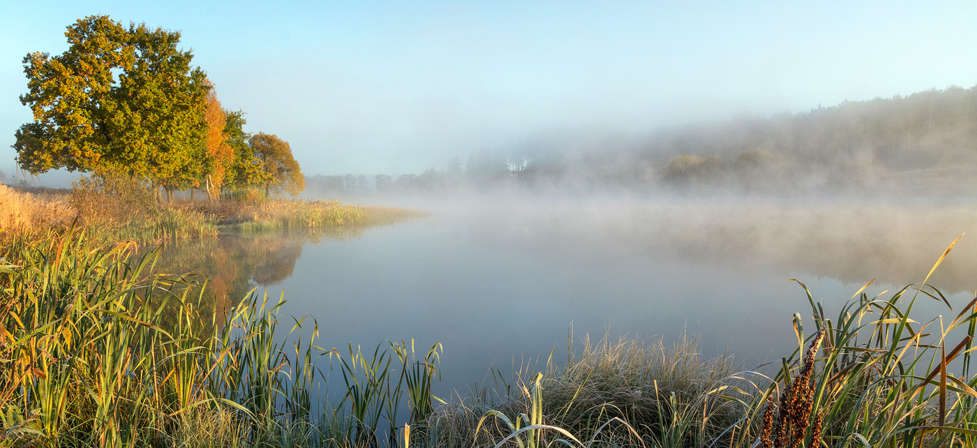 Осенние туманы.