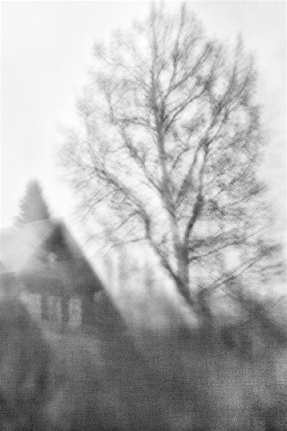 Жизнь вокруг