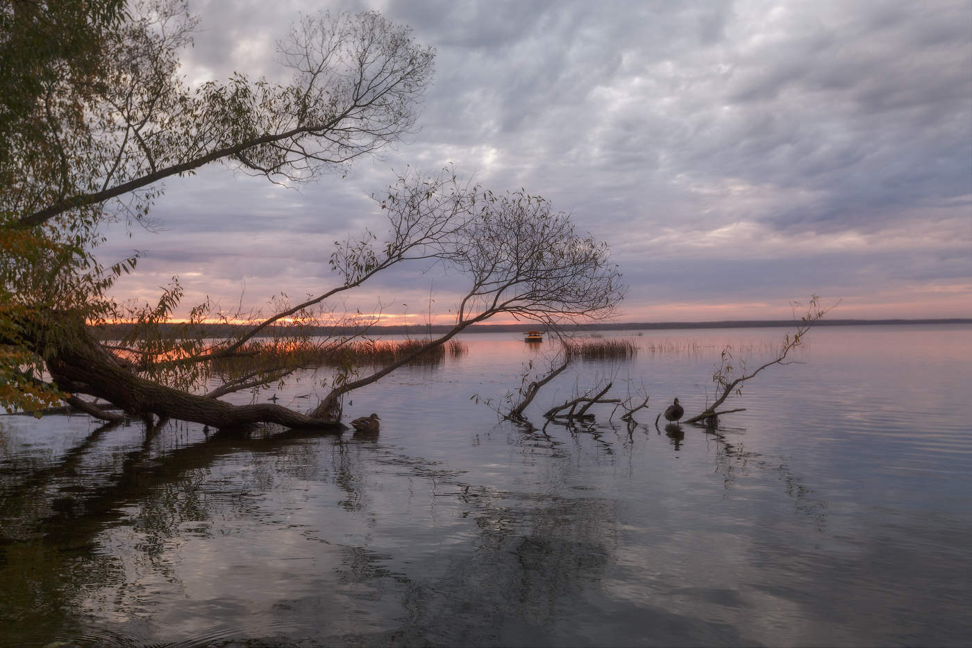 Поздняя осень